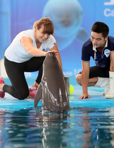 视为攻击对 视为攻击对